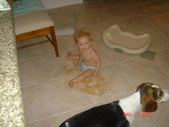 Enlarge photo 107