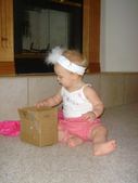 Enlarge photo 15