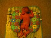Enlarge photo 24