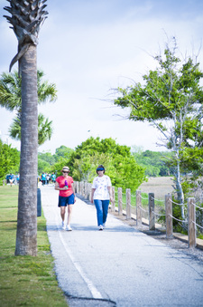 Enlarge photo 37