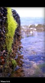 Enlarge photo 166