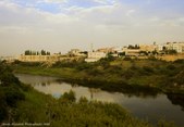 Enlarge photo 165