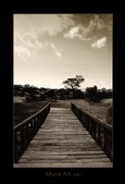 Enlarge photo 168