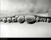 Enlarge photo 169