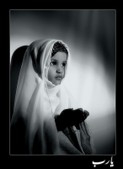 Enlarge photo 215