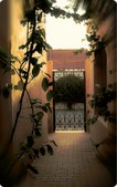 Enlarge photo 176