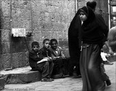 Enlarge photo 60
