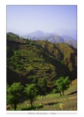 Enlarge photo 151