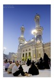 Enlarge photo 88