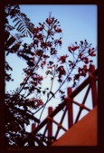 Enlarge photo 186