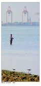 Enlarge photo 157