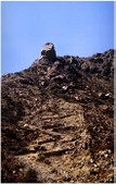 Enlarge photo 193