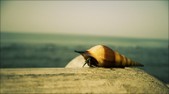 Enlarge photo 133