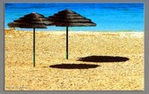 Enlarge photo 198