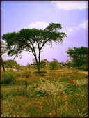 Enlarge photo 163