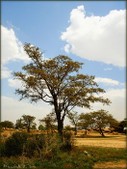 Enlarge photo 162