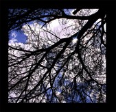 Enlarge photo 161