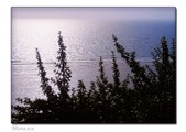 Enlarge photo 201