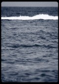Enlarge photo 202
