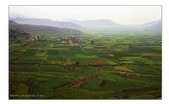 Enlarge photo 112