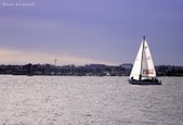 Enlarge photo 83