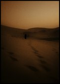 Enlarge photo 84