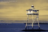 Enlarge photo 76