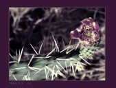 Enlarge photo 178