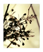 Enlarge photo 43