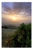 Enlarge photo 80