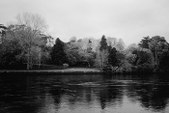 Enlarge photo 52