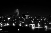 Enlarge photo 81