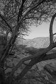 Enlarge photo 53