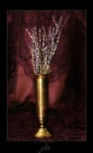 Enlarge photo 125