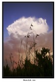 Enlarge photo 187