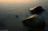 Enlarge photo 218