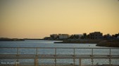 Enlarge photo 99