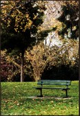 Enlarge photo 78