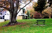 Enlarge photo 77