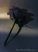 Enlarge photo 56