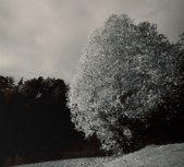Enlarge photo 51