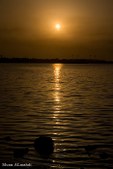 Enlarge photo 221