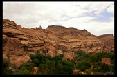 Enlarge photo 116