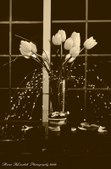 Enlarge photo 54