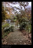 Enlarge photo 82