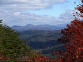 FALL FOLIAGE - GREAT SMOKY MTNS 2009