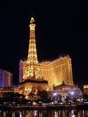 Viva Las Vegas & a Dog Show