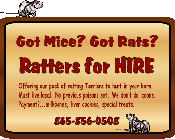 Ratters for Hire