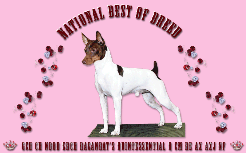 Q wins National Best of Breed