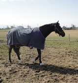 Enlarge photo 182
